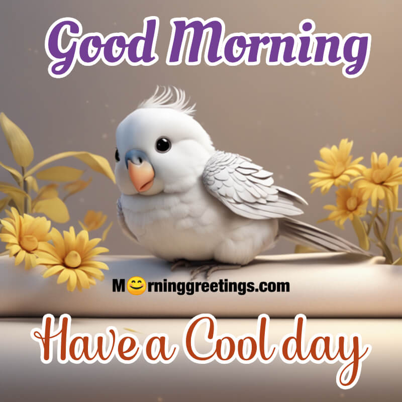 Beautiful Morning Bird Have A Cool Day Pic