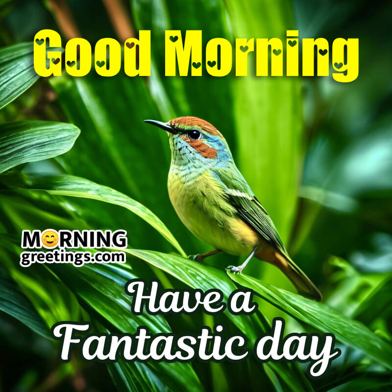 Beautiful Morning Have A Fantastic Day Greeting Image