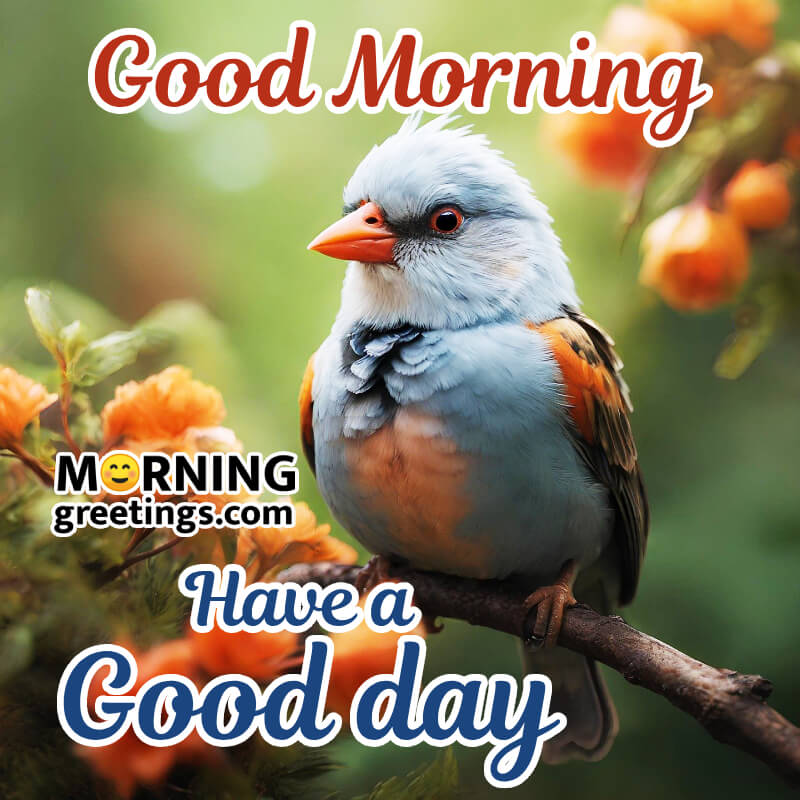 Beautiful Morning Have A Good Day Bird Image