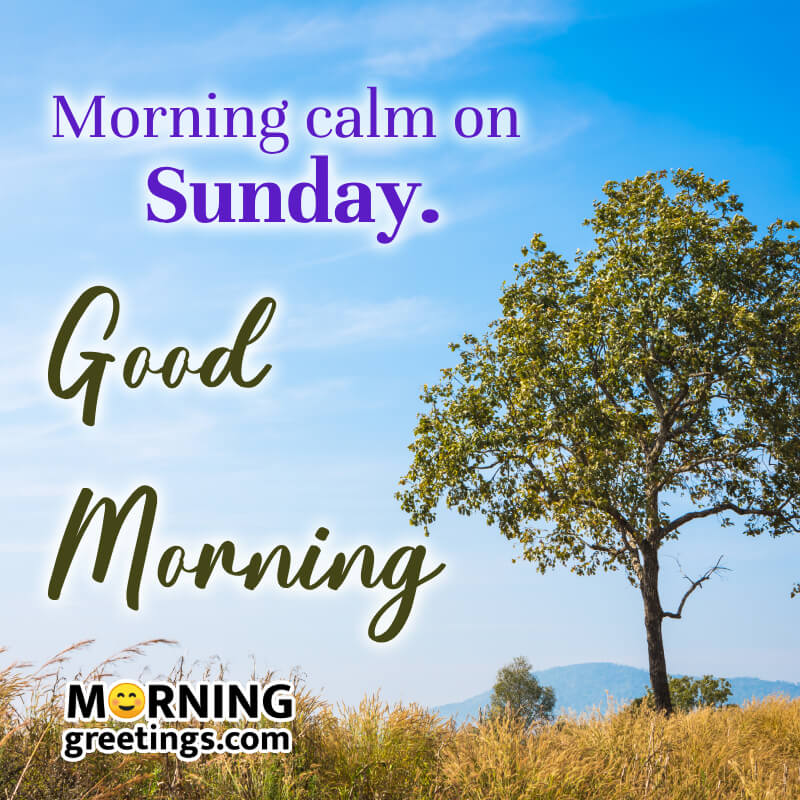 Calm Sunday Morning Wish Photo