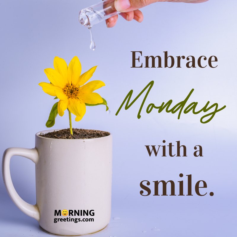 Embrace Monday With A Smile