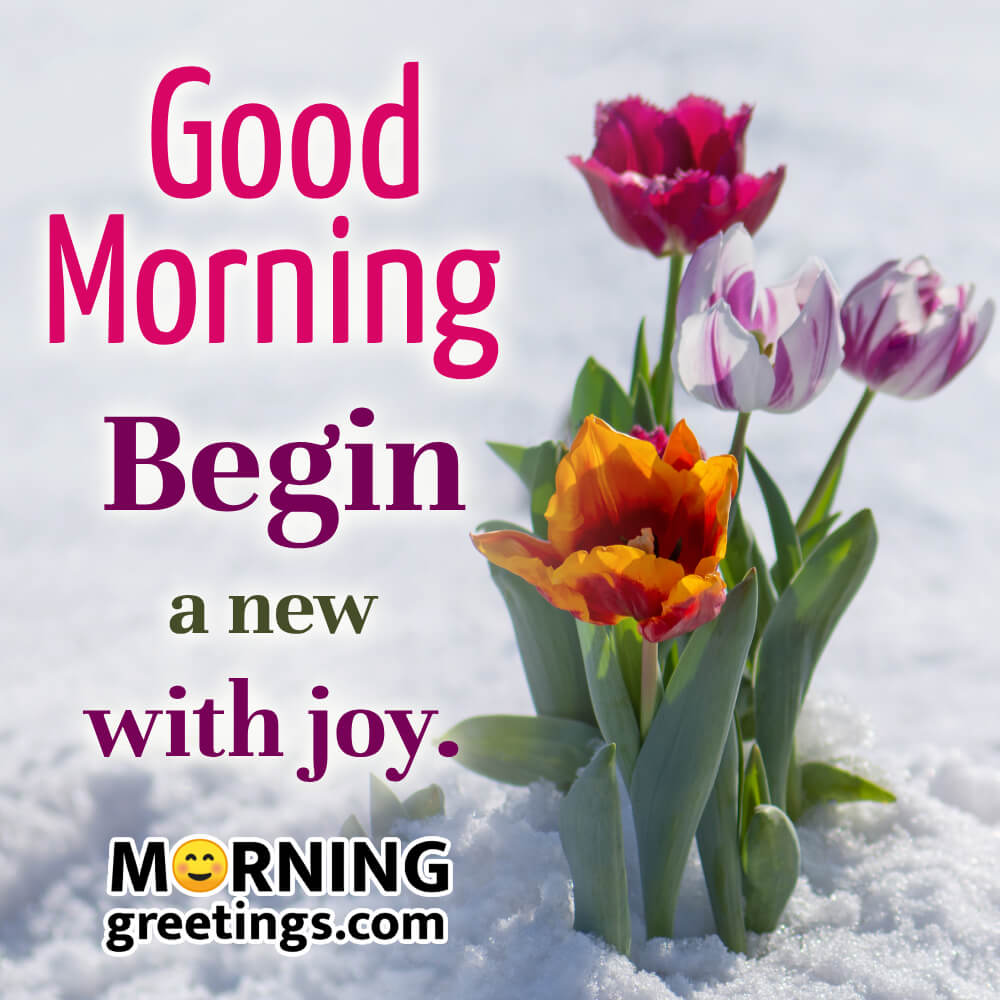 Good Morning Blessing Begin A New With Joy Pic