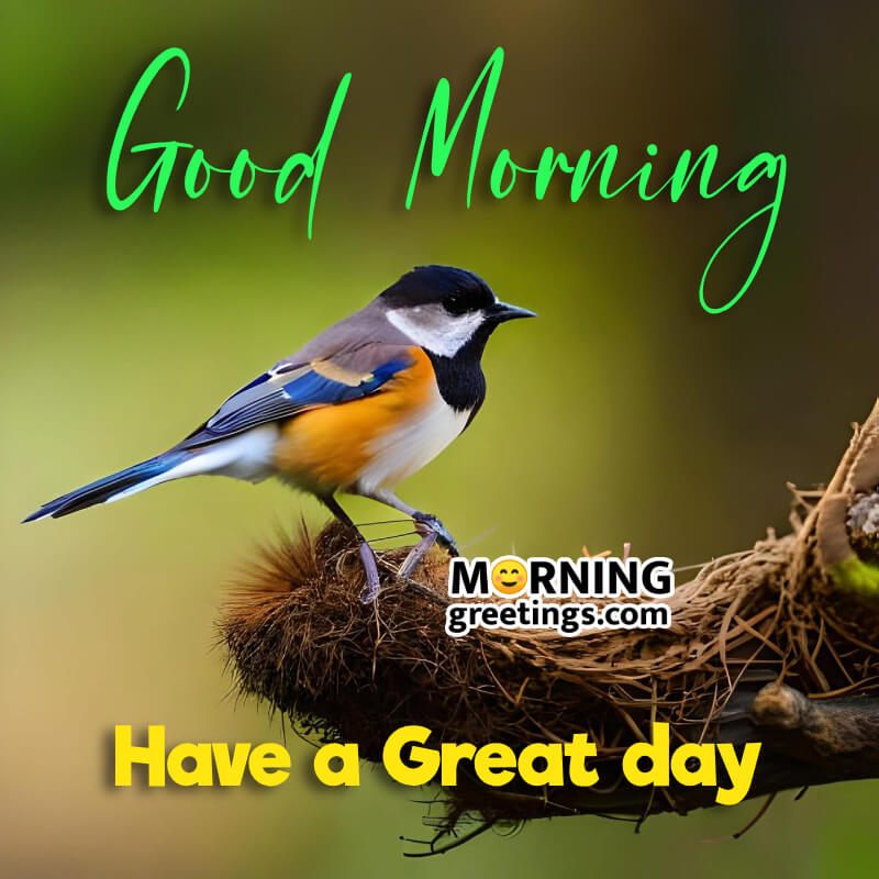 Good Morning Have A Great Day Beautiful Bird Picture