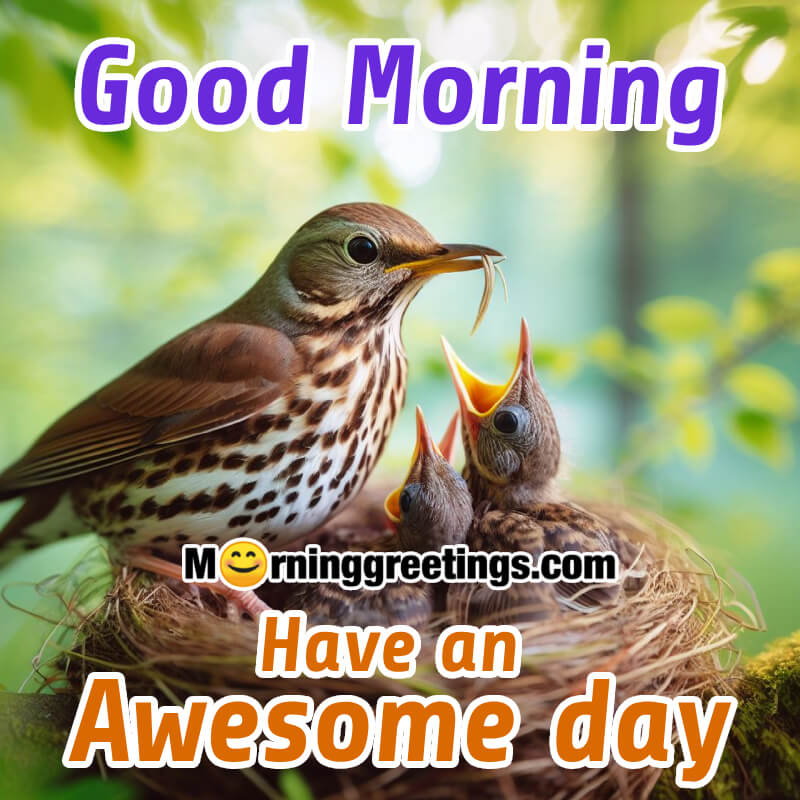 Good Morning Have An Awsome Day Bird Picture