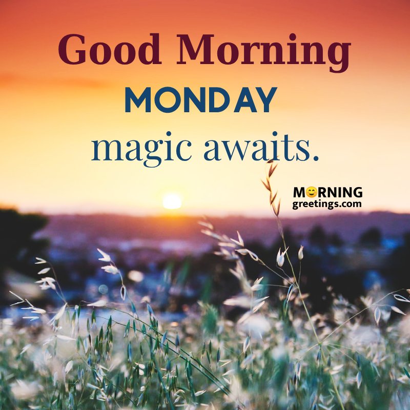 Good Morning Monday Magic Awaits