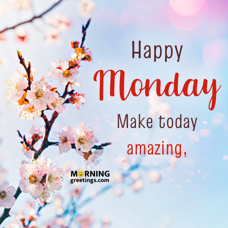 Happy Monday Make Today Amazing,