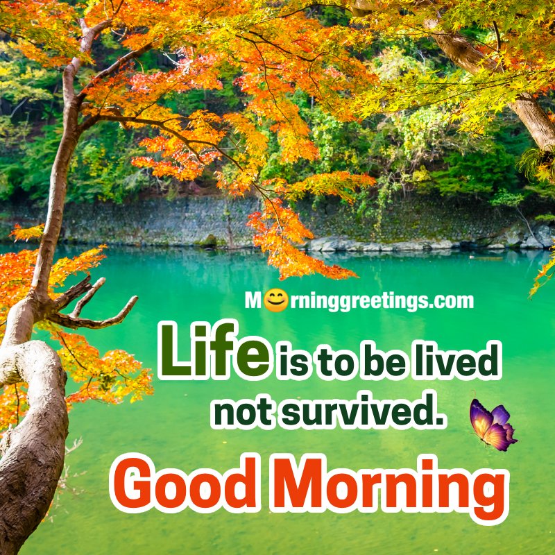 Life Good Morning Quote Image