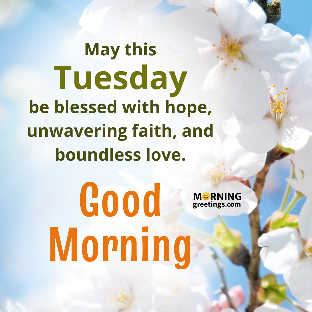 May This Tuesday Be Blessed With Hope