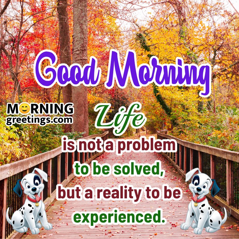 Morning Life Wonderful Quote Picture