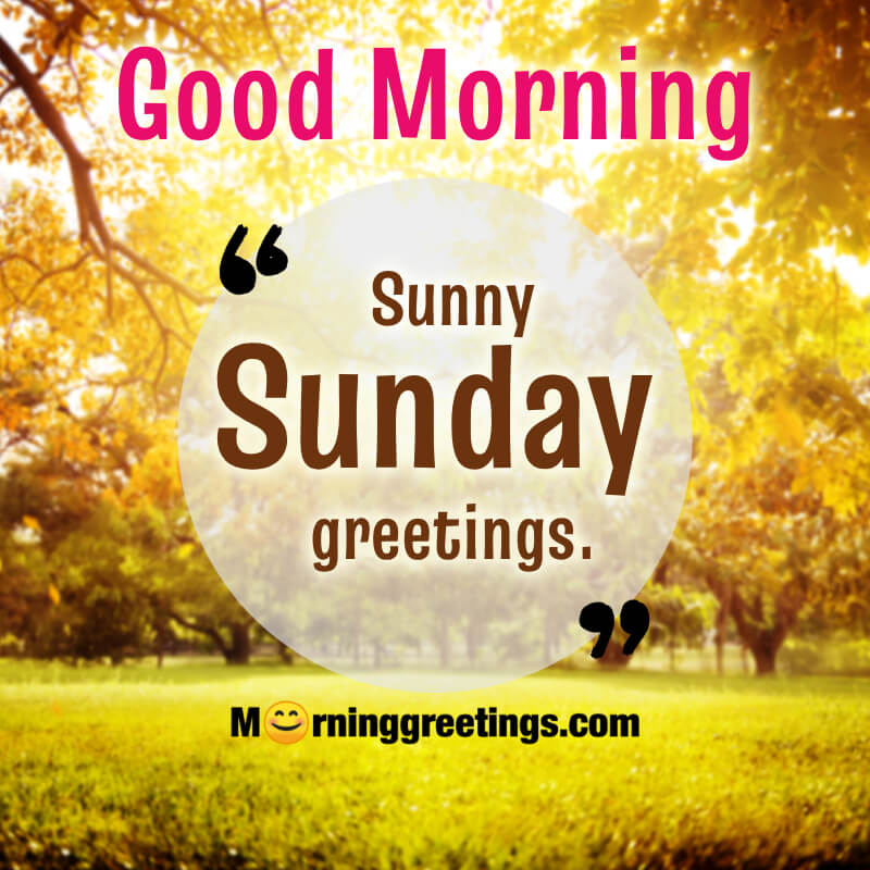 Sunny Sunday Greeting Photo