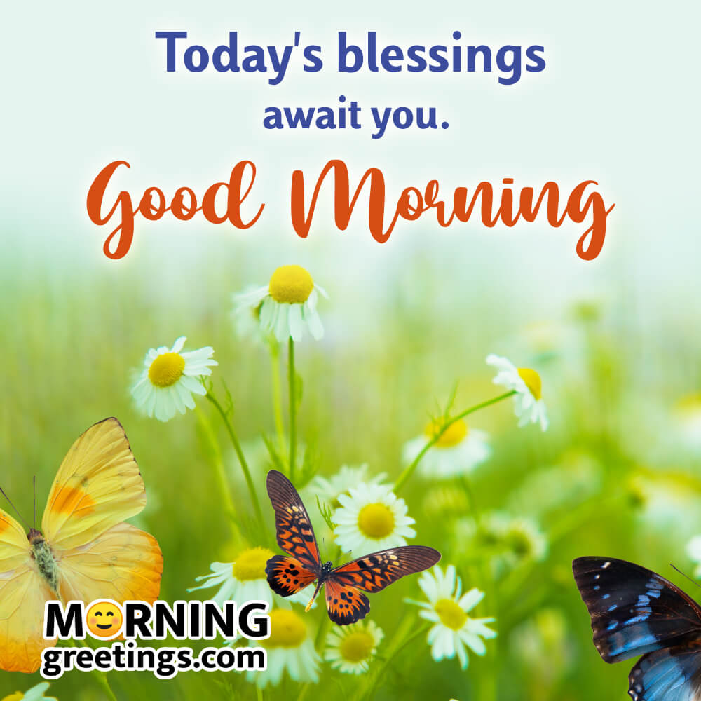 Todays Blessings Await You Good Morning Blessing Picture