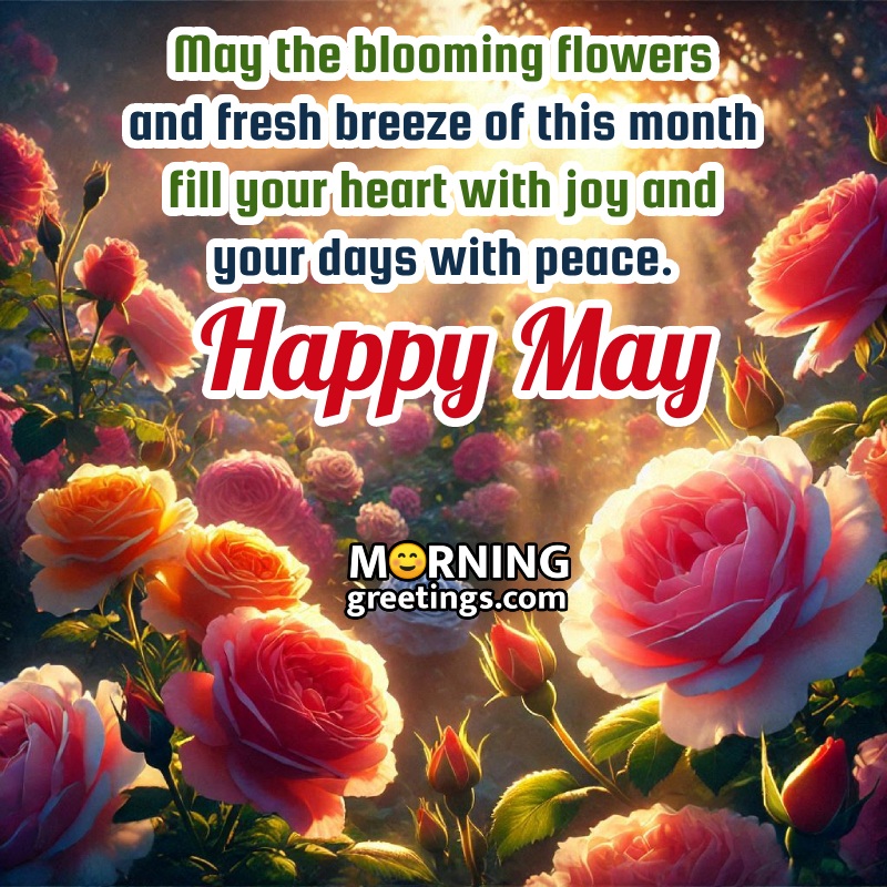 Happy May Month Nice Pic With Fresh Flowres