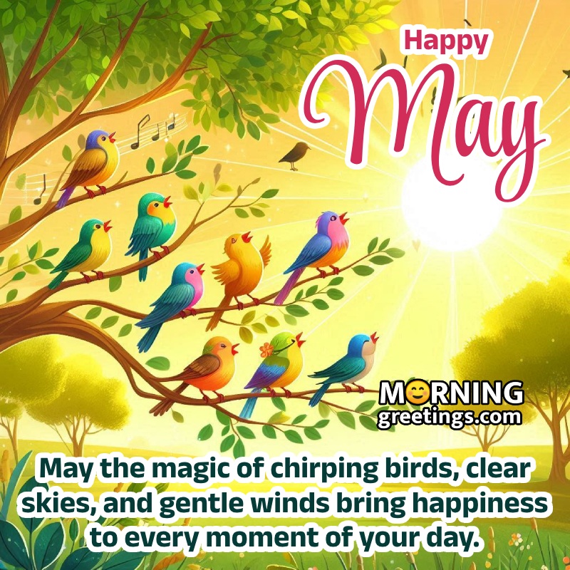 Happy May With Chirping Birds Nice Wishing Photo
