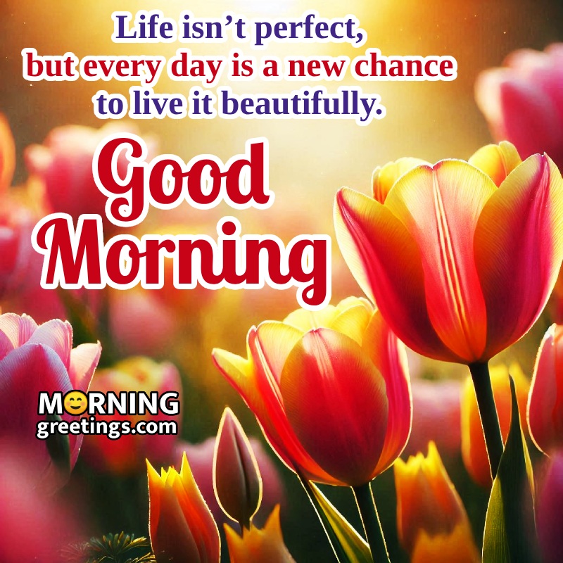 Good Morning Beautifully Quote With Flowers Pic