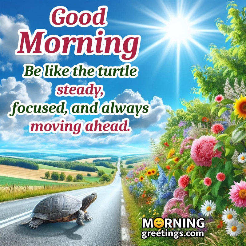 Good Morning Steady Turtle With Flowers Pic