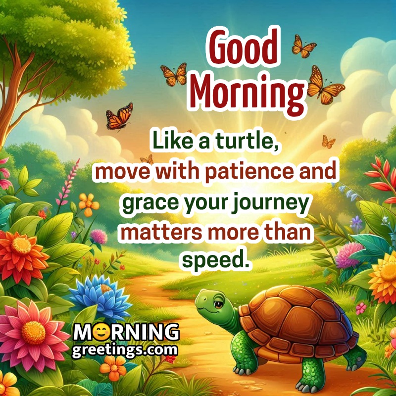Good Morning Turtle With Butterflies Nice Pic