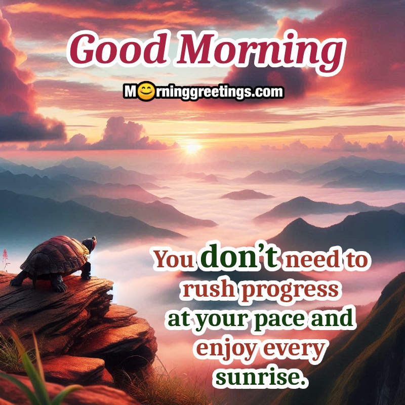 Morning Turtle Lovely Greeting Picture