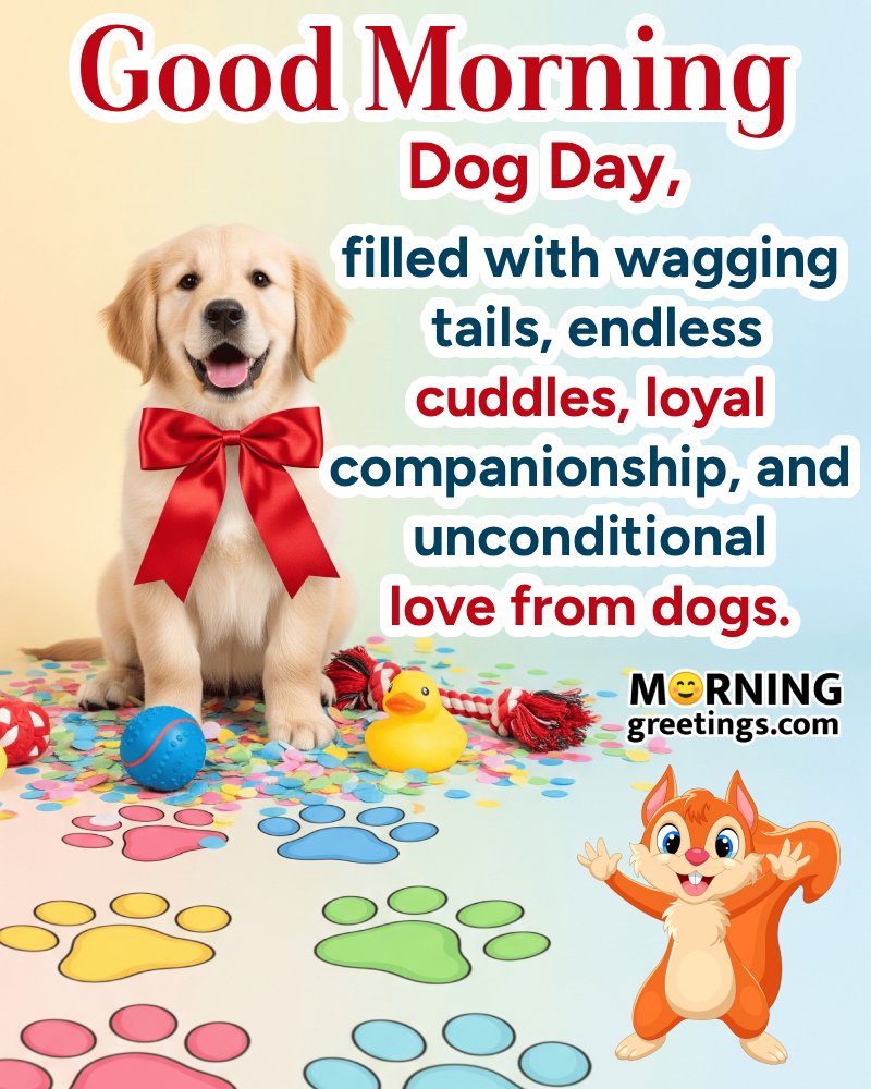 Good Morning Dog Day Wonderful Photo
